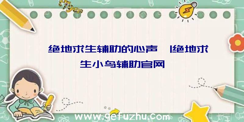 「绝地求生辅助的心声」|绝地求生小鸟辅助官网